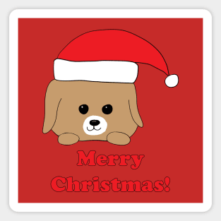 Merry Christmas! Dog in Santa Hat Magnet